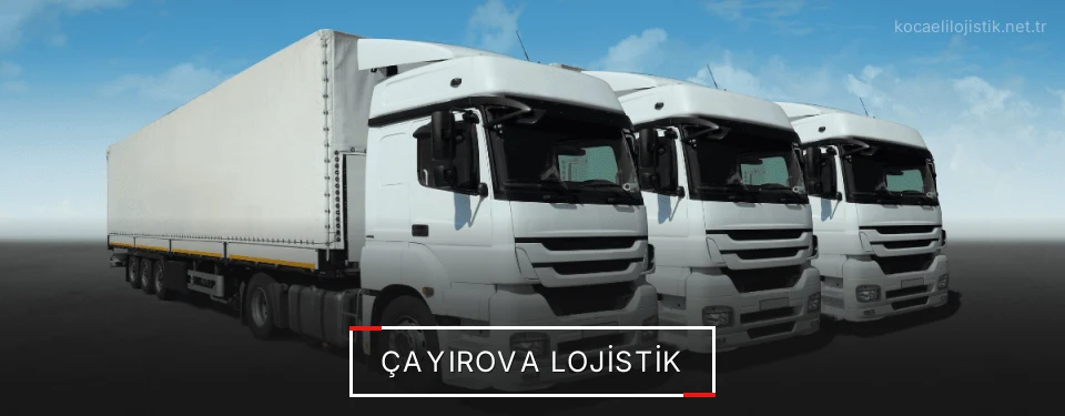 Çayırova Lojistik