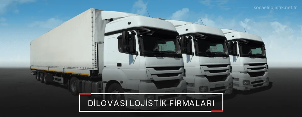 Dilovası Lojistik Taşımacılık