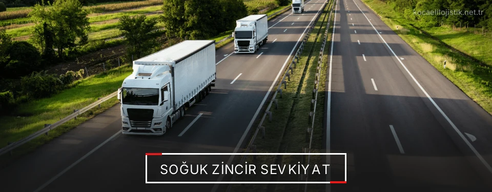 Kocaeli Frigo Taşımacılık Firmaları